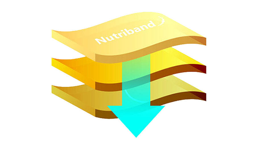 最先端の3層レイヤー構造：貼るサプリ・貼るパッチのニュートリーバンド(Nutriband)
